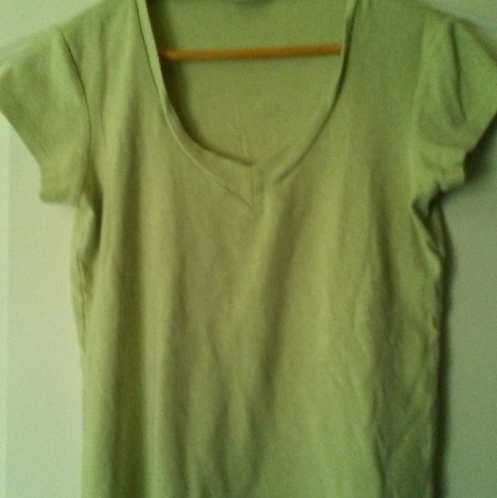 Indigo Palm (medium) pale green t-shirt